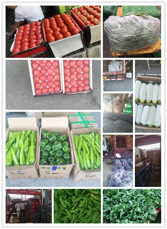 beat·365(中国)唯一官方网站