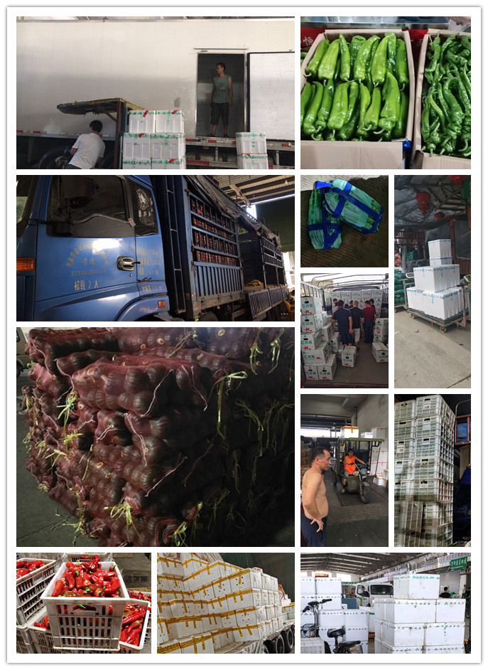 beat·365(中国)唯一官方网站