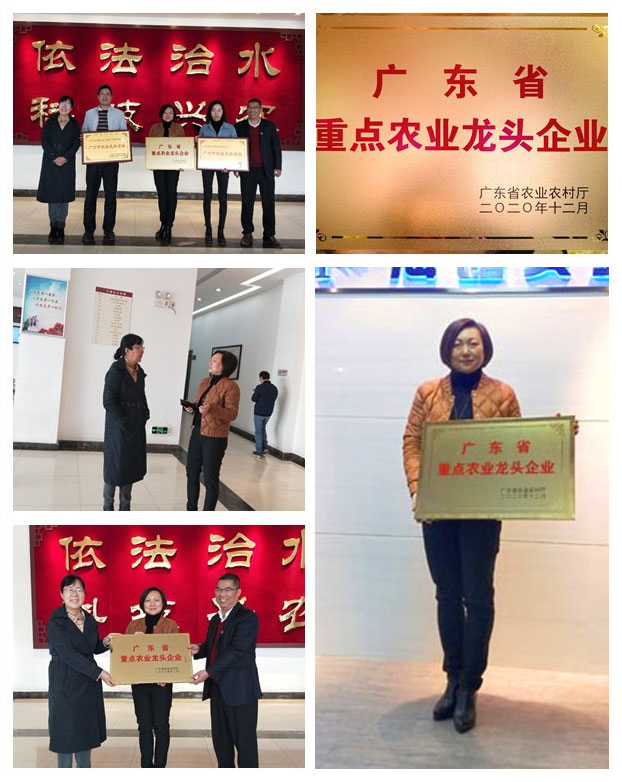 beat·365(中国)唯一官方网站