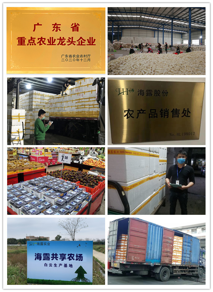 beat·365(中国)唯一官方网站