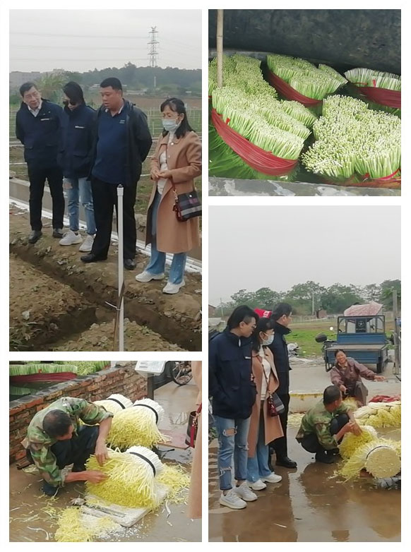 beat·365(中国)唯一官方网站