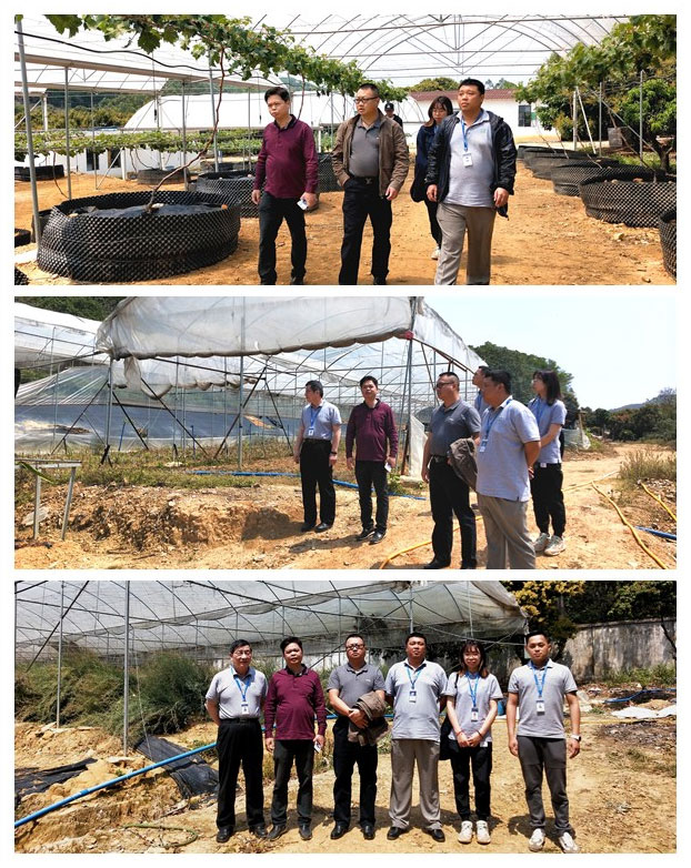 beat·365(中国)唯一官方网站