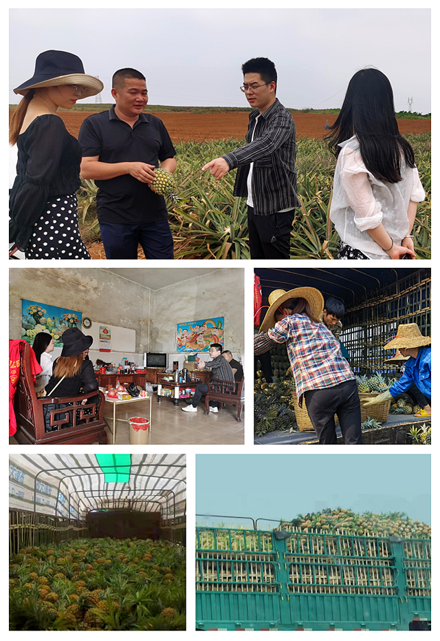 beat·365(中国)唯一官方网站