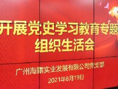 集团党支部发展党史进建教育专题组织生涯会