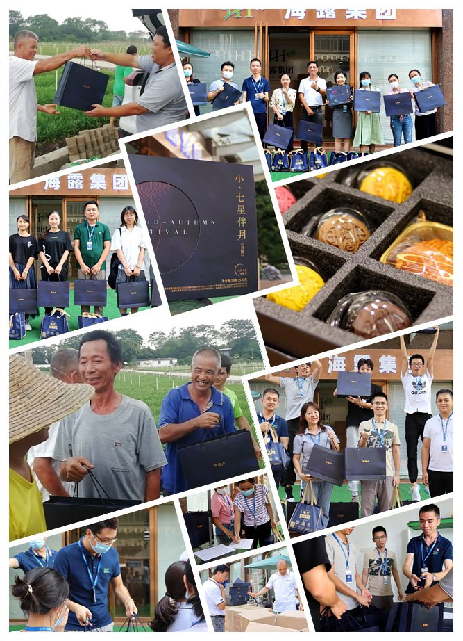 beat·365(中国)唯一官方网站