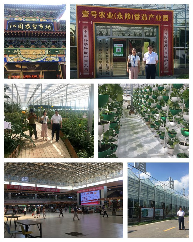 beat·365(中国)唯一官方网站