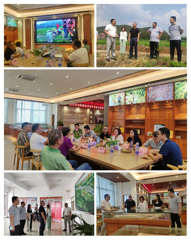 beat·365(中国)唯一官方网站