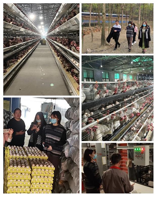 beat·365(中国)唯一官方网站