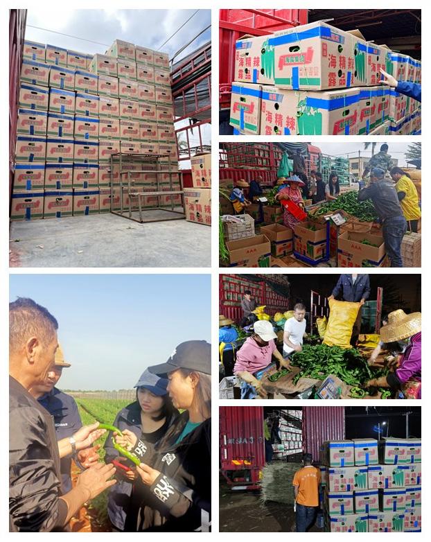 beat·365(中国)唯一官方网站