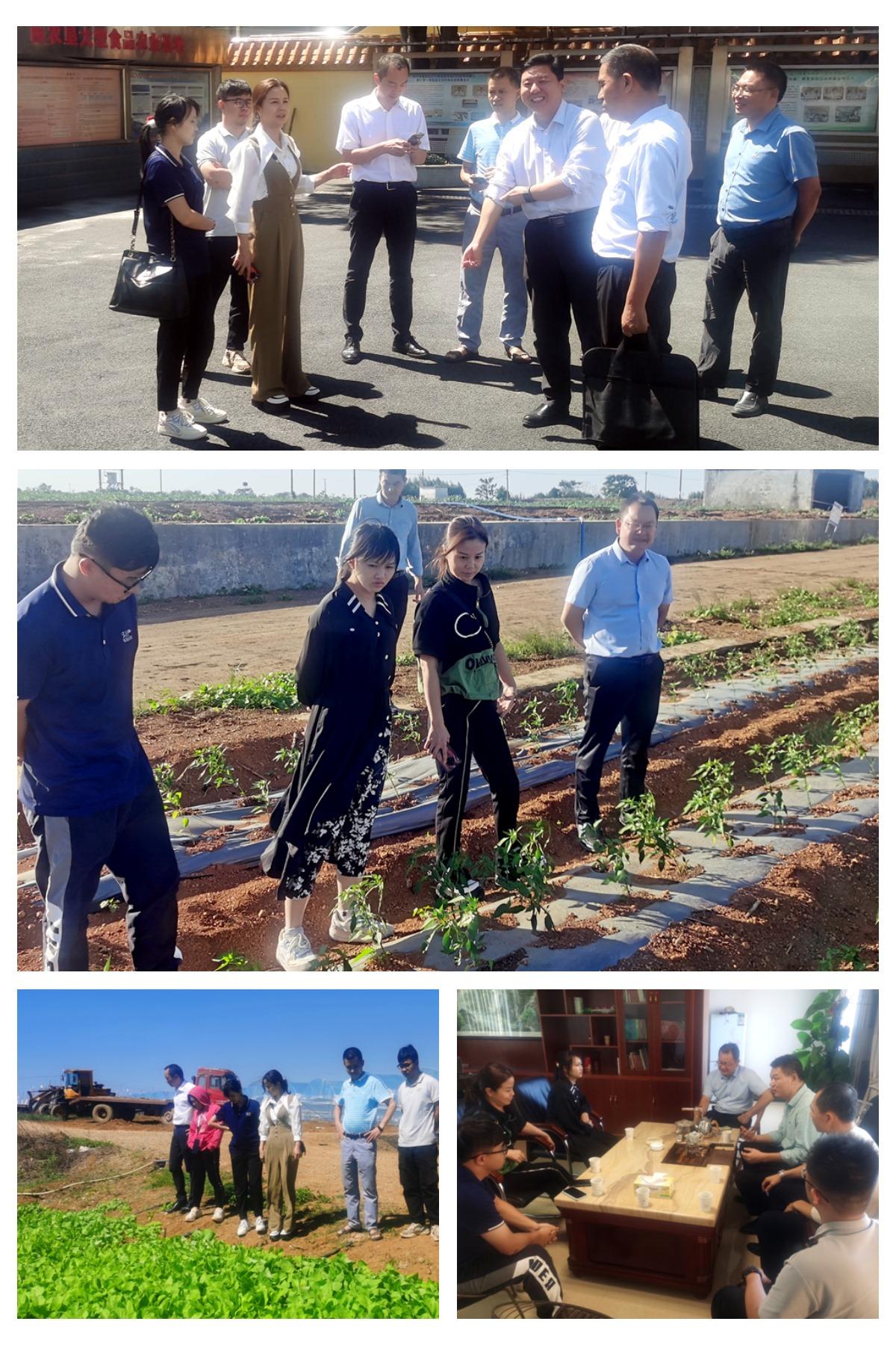 beat·365(中国)唯一官方网站