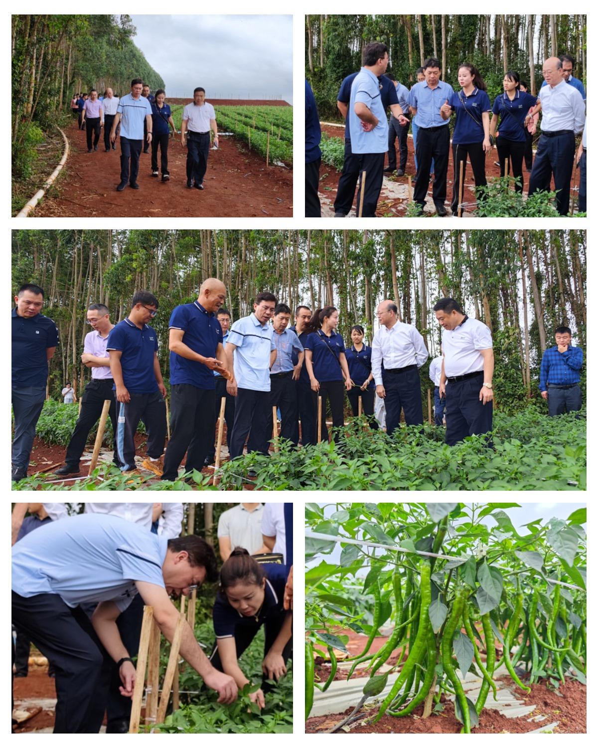 beat·365(中国)唯一官方网站