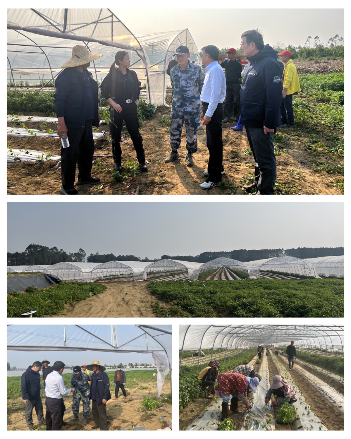 beat·365(中国)唯一官方网站