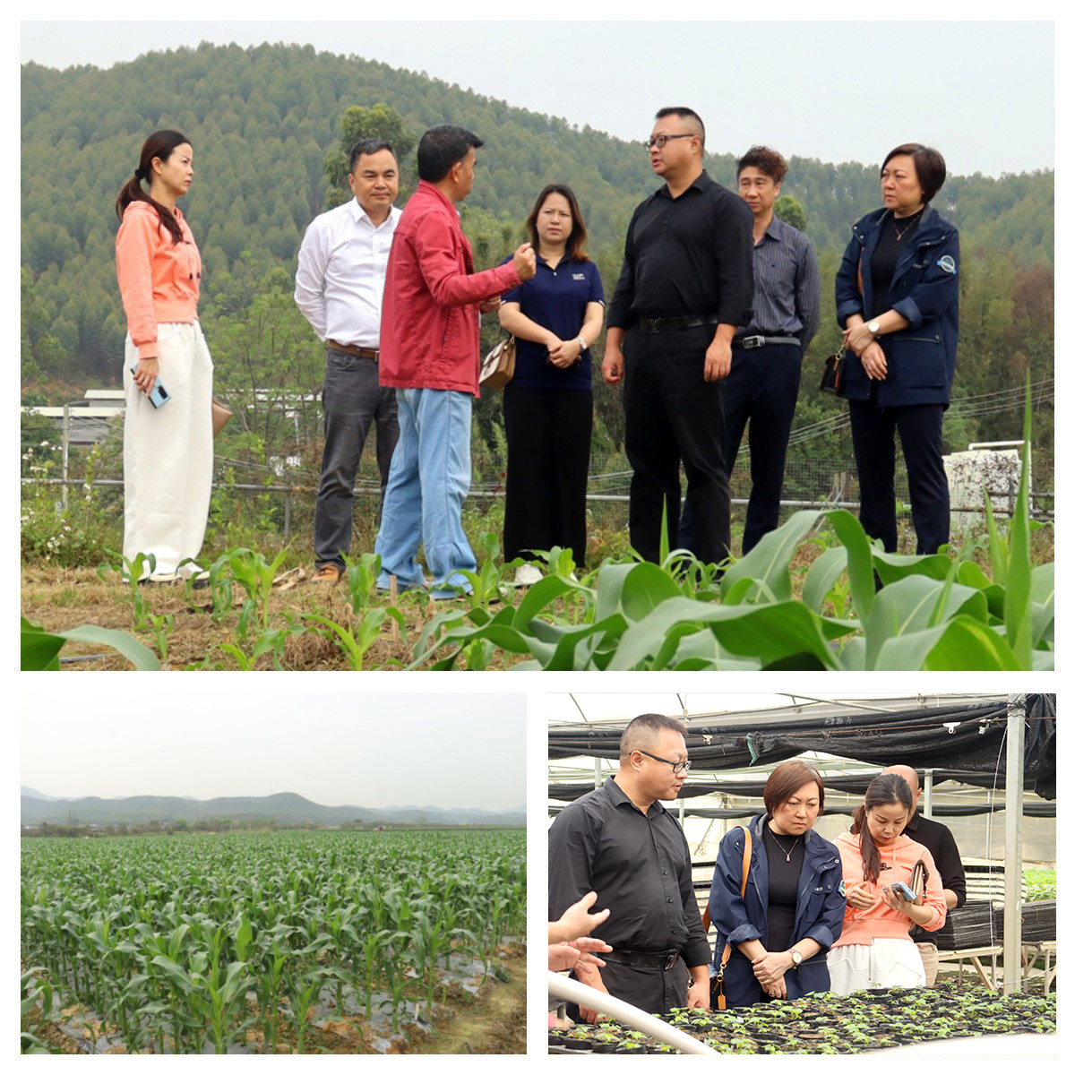 beat·365(中国)唯一官方网站