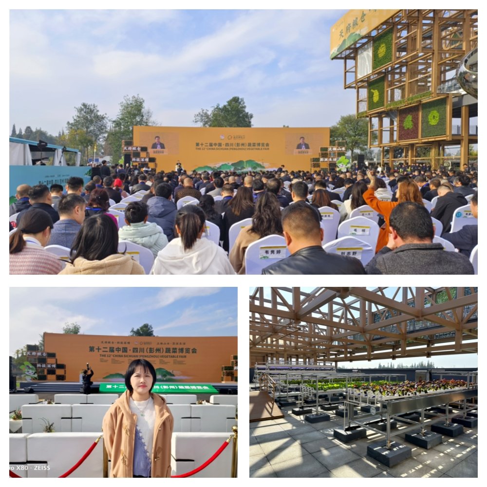 beat·365(中国)唯一官方网站