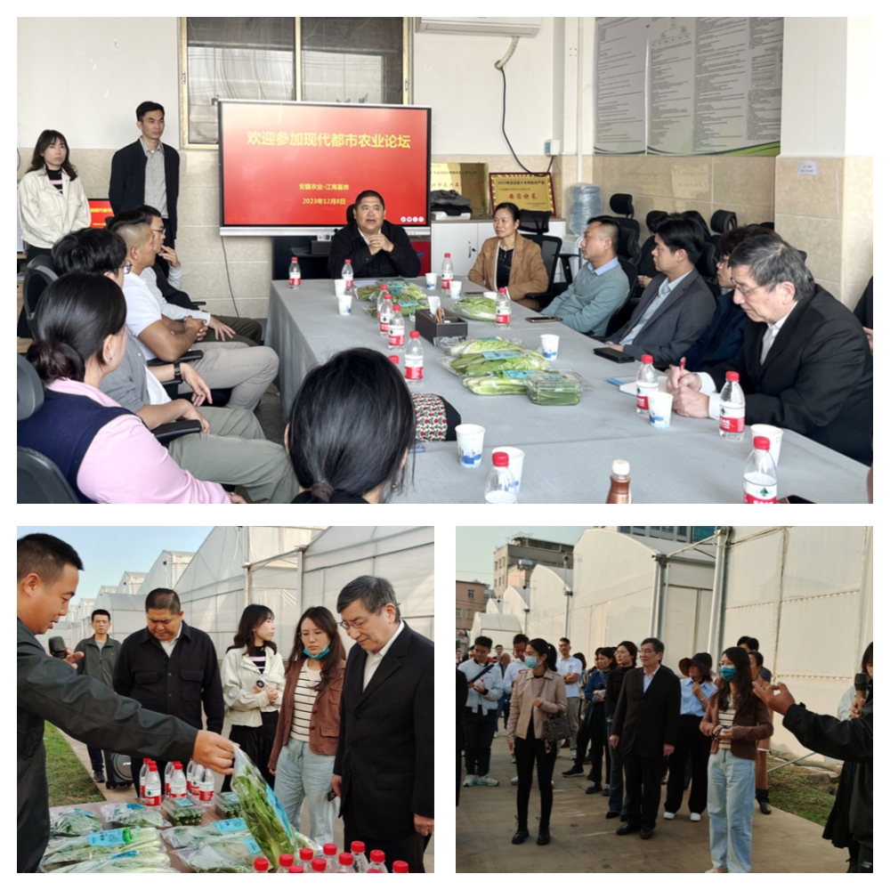 beat·365(中国)唯一官方网站