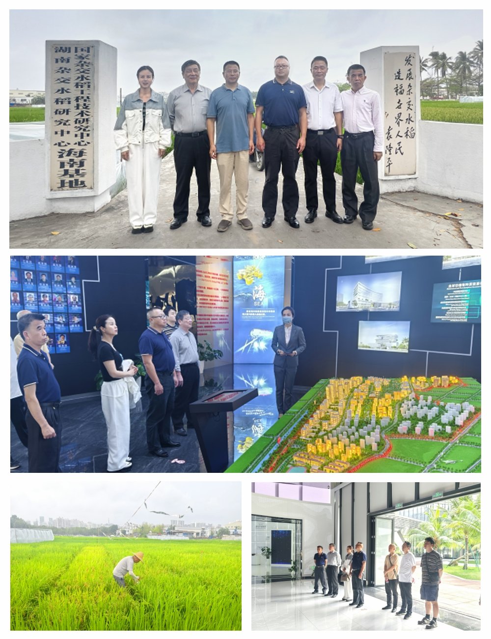 beat·365(中国)唯一官方网站