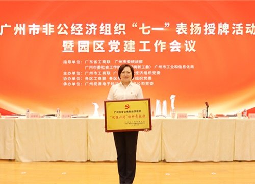 标杆引领，荣誉升级！集团党支部荣膺广州市非公有造经济组织“双强六好”标