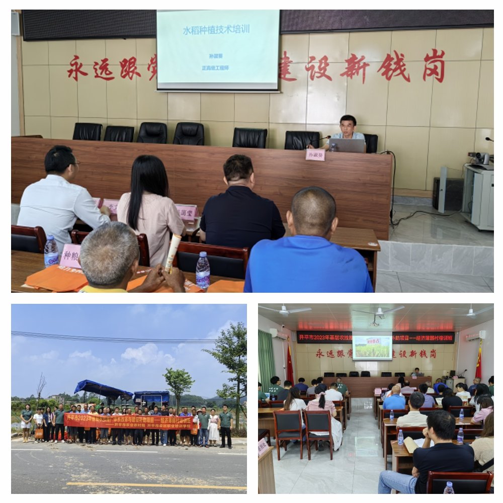 beat·365(中国)唯一官方网站