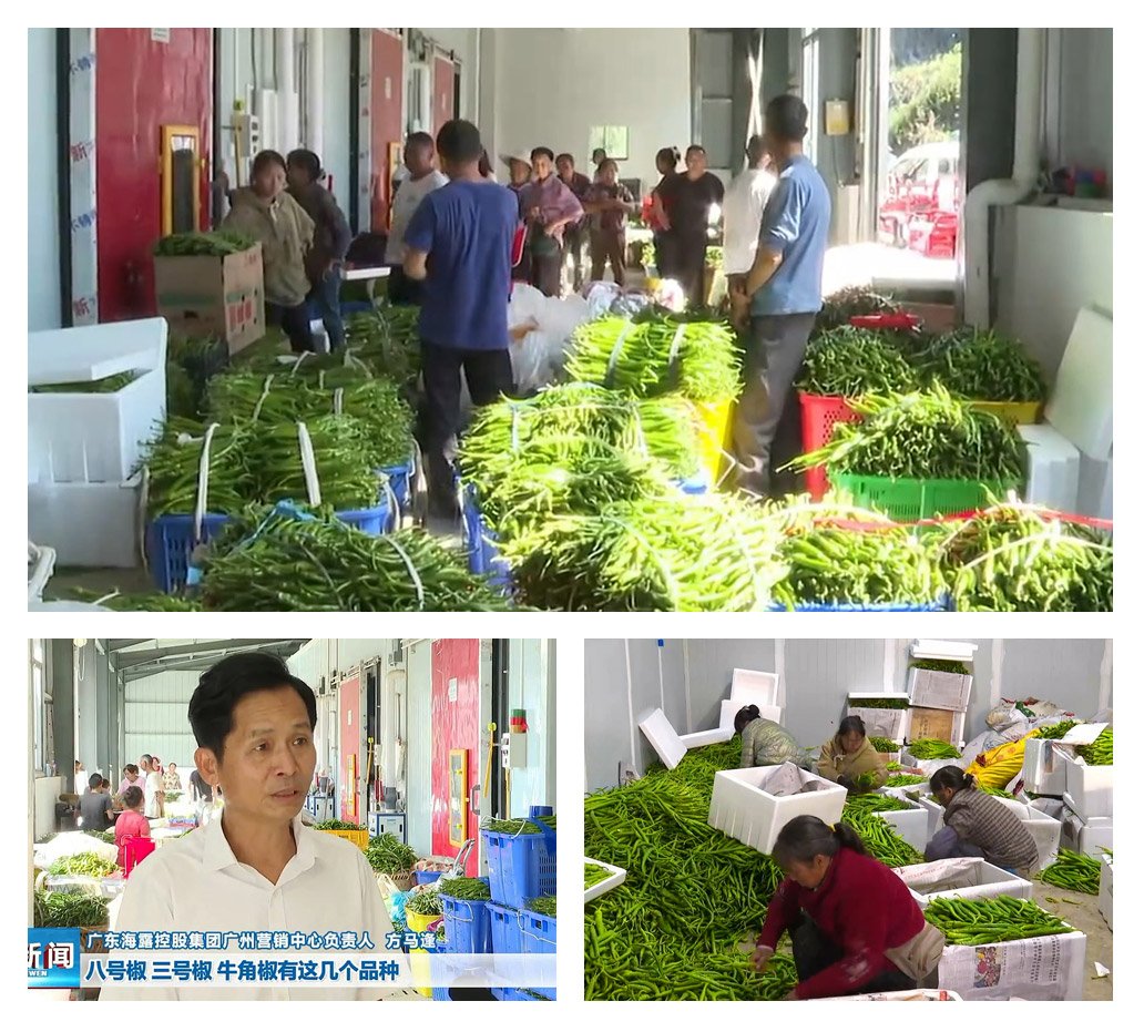 beat·365(中国)唯一官方网站