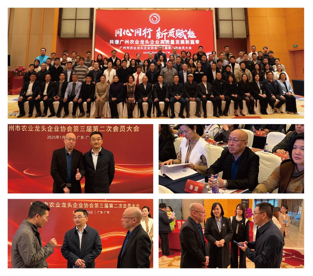 beat·365(中国)唯一官方网站