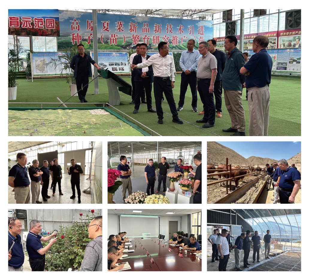 beat·365(中国)唯一官方网站