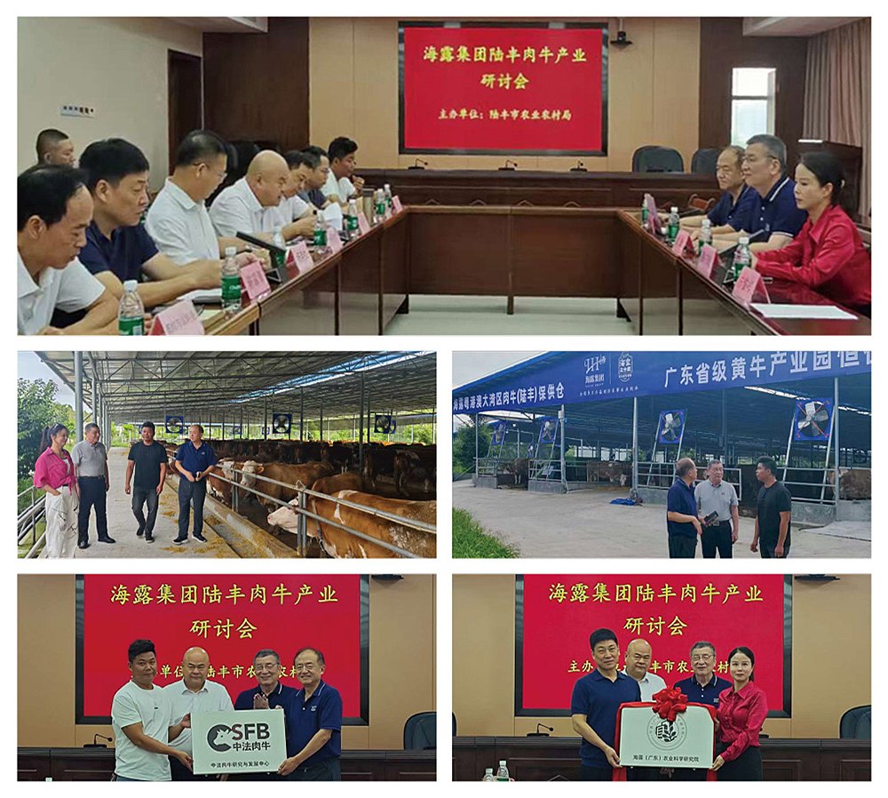 beat·365(中国)唯一官方网站