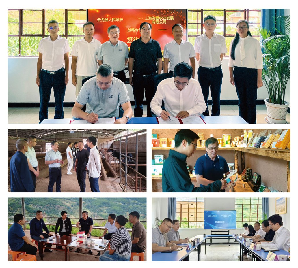 beat·365(中国)唯一官方网站