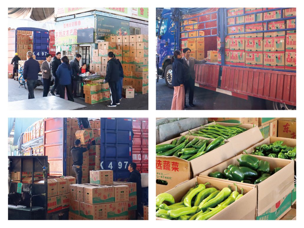 beat·365(中国)唯一官方网站